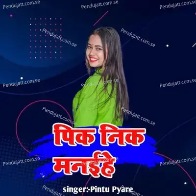 Pik Nik Manaihe - Pintu Pyare album cover 