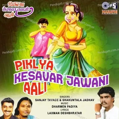 Male Theun Ghe Naukar - Sanjay Tavade album cover 