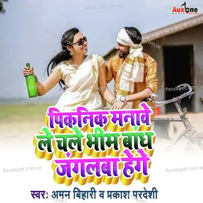 Piknik Manawe Le Chale Bheem Bandh Janglwa Hege - Aman Bihari album cover 