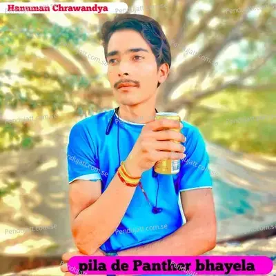 Pila De Panther Bhayela - Singer Hanuman Chrawandya album cover 