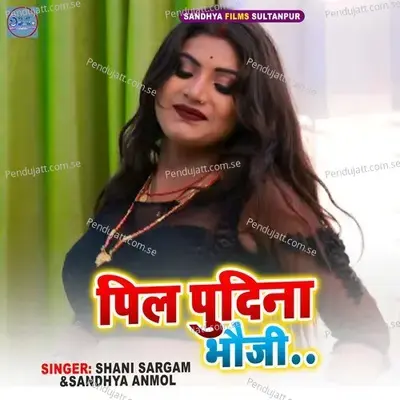 Pila Pudina Bhauji - Shani Sargam album cover 