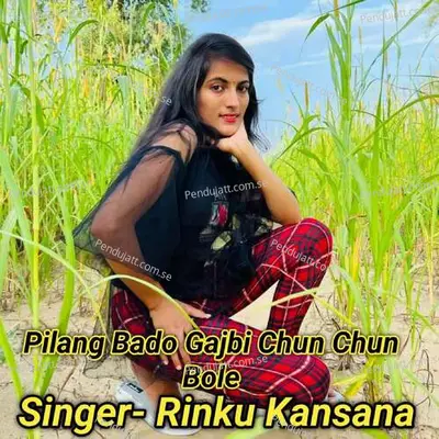 Pilang Bado Gajbi Chun Chun Bole - Rinku kansana album cover 