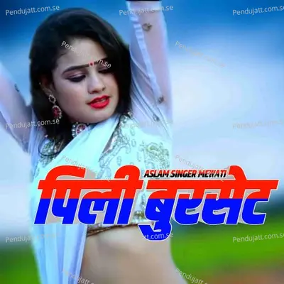 Pili Bursat - Aslam Singer Mewati album cover 