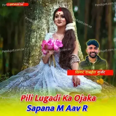 Pili Lugadi Ka Ojaka Sapana M Aav R - Ramhet Gujar album cover 