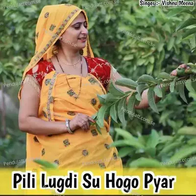 Pili Lugdi Su Hogo Pyar - Vishnu Meena album cover 