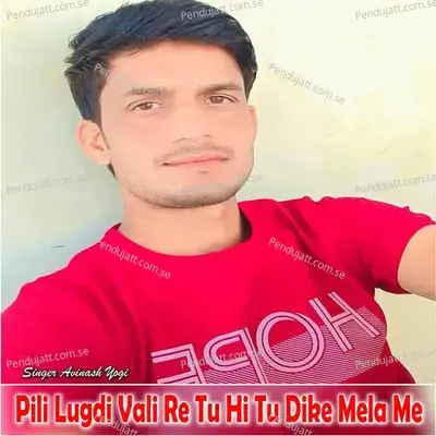 Pili Lugdi Vali Re Tu Hi Tu Dike Mela Me - Avinash Yogi