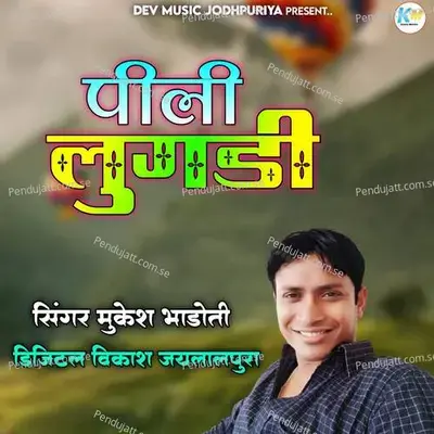 Chandi Ka Bataoon Rahga Raat Dj Pa - Mukesh Bhadoti album cover 