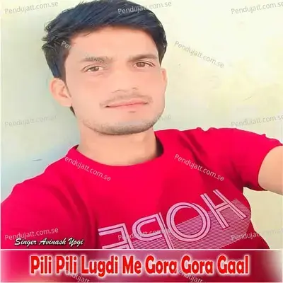 Pili Pili Lugdi Me Gora Gora Gaal - Avinash Yogi