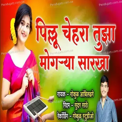 Pillu Chehra Tujha Mogarya Sarkha - Gokul Ambildhage album cover 