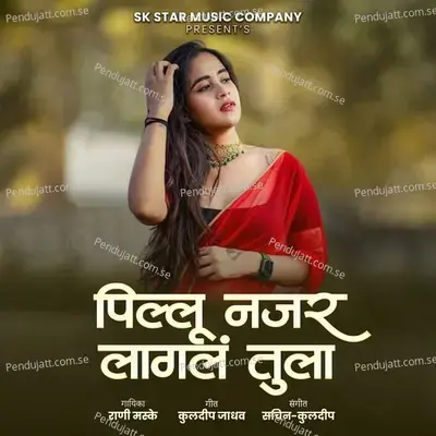 Pillu Najar Lagal Tula - Rani Maske album cover 