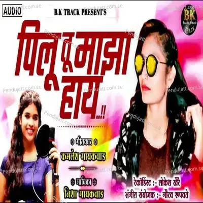 Pilu Tu Majha Haay - Nisha Gaikwad album cover 