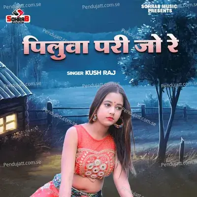 Piluwa Pari Jo Re - Kush Raj album cover 