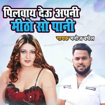 Pilwaye Deu Apni Meetho So Pani - Manoj Baghel album cover 