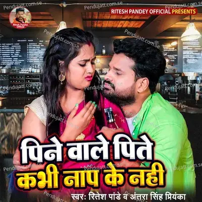 Pine Wale Pite Kabhi Naap Ke Nhi - Ritesh Pandey album cover 
