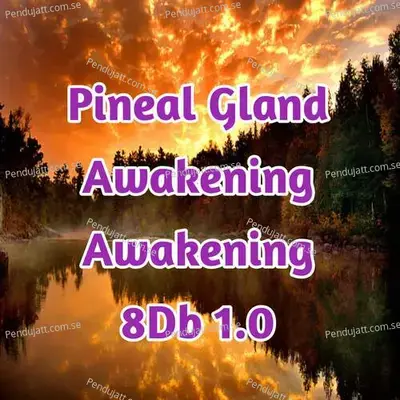 Pineal Gland Awakening 8 Db  1 0 - Lakhan Hire album cover 