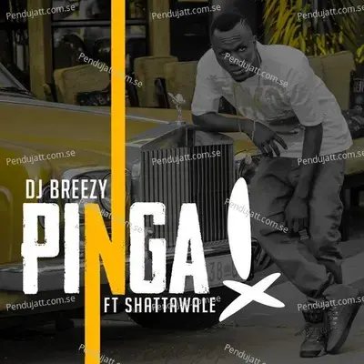 Pinga - DJ Breezy album cover 