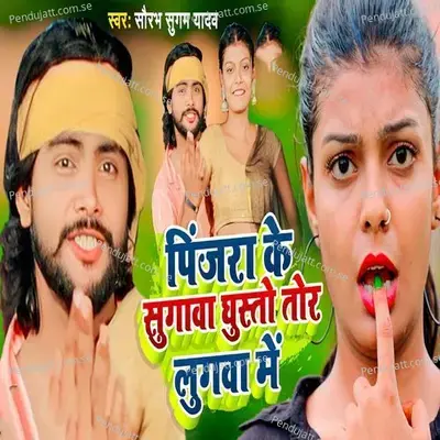 Pinjara Ke Sugava Ghusto Tor Lugwa Me - Saurabh Sugam Yadav album cover 