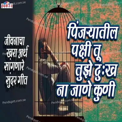 Pinjaryatil Pakshi Tu Tujhe Dukh Na Jaane Kundi - Shubhangi Joshi album cover 