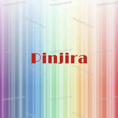 Pinjira - Asif Akbar album cover 