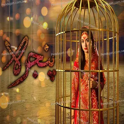 Pinjra - Rahat Fateh Ali Khan album cover 