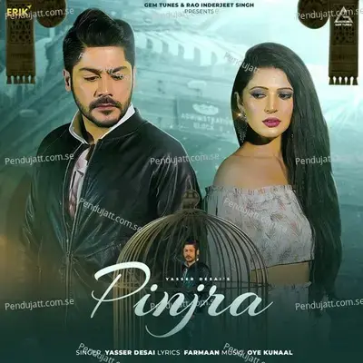 Pinjra - Yasser Desai album cover 