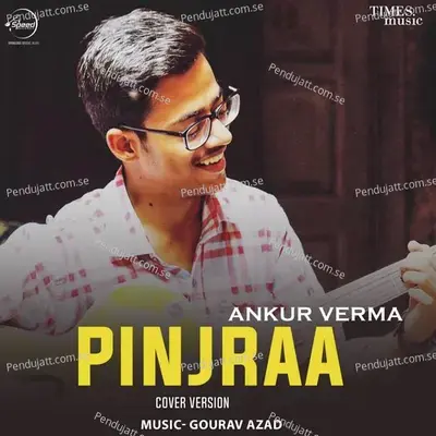 Pinjraa - Cover Version - Ankur Verma album cover 