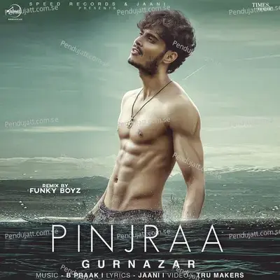 Pinjraa - Remix - Gurnazar