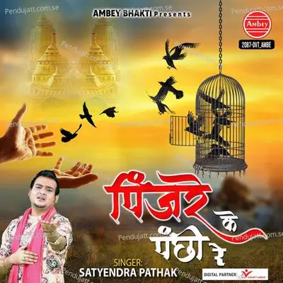 Pinjre Ke Panchhi Re - Satyendra Pathak album cover 