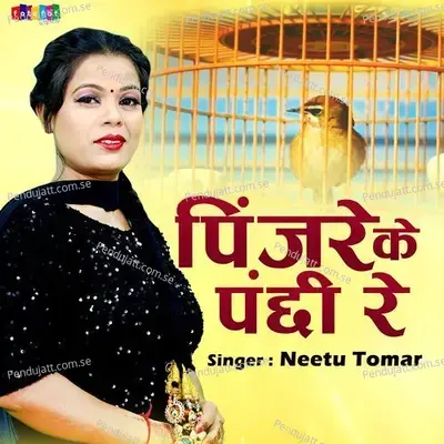 Pinjre Ke Panchi Re - Neetu Tomar album cover 