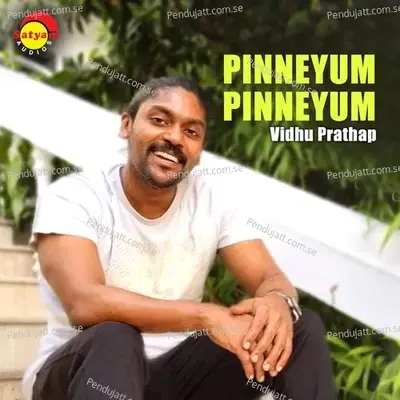 Pinneyum Pinneyum - Vidhu Prathap album cover 