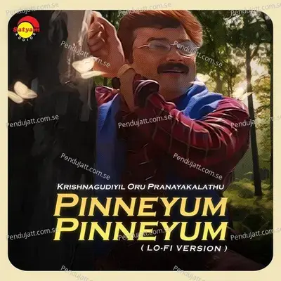 Pinneyum Pinneyum - Vidyasagar album cover 