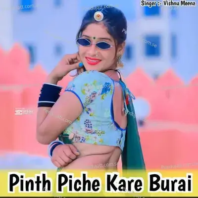 Pinth Piche Kare Burai - Vishnu Meena album cover 