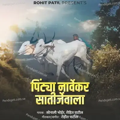 Pintya Narvekar Satirjewala - Sonali Bhoir album cover 