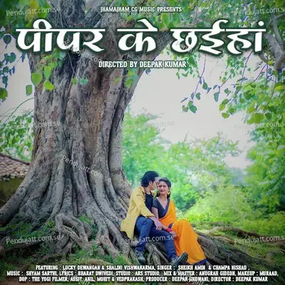 Pipar Ke Chaiha - Sheikh Amin album cover 