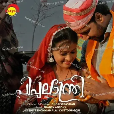 Dhoore Meghajalangalum - Shanty Antony album cover 