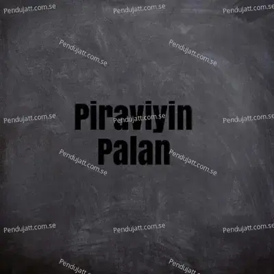 Piraviyin Palan Ds - N.T. Vijay Aananth album cover 