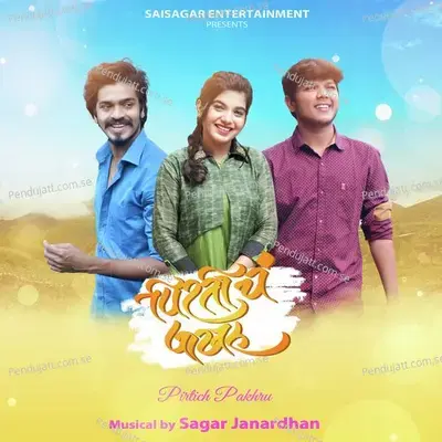 Pirticha Pakhru - Sagar Janardhan album cover 