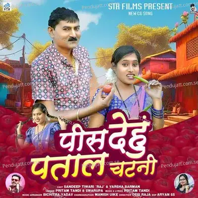 Pis Dehu Patal Chatni - Pritam Tandi album cover 