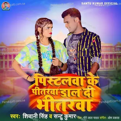 Pistalwa Ke Pitarwa Dal Di Bhitarwa - Santu Kumar album cover 