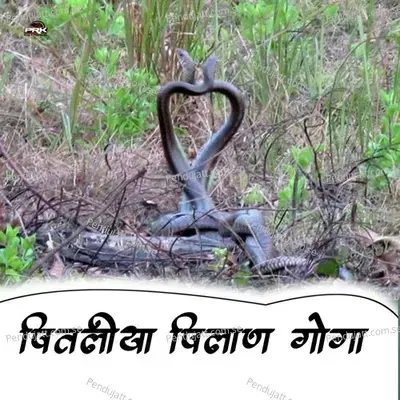 Pitaliyo Pilan Goga - Bhoma Ram Panwar album cover 