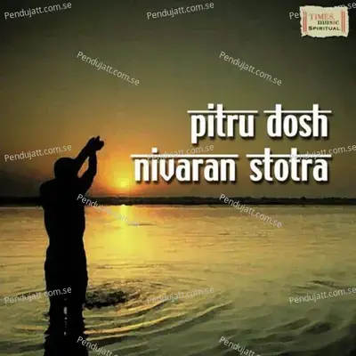 Pitru Dosha Nivaran Stotra - Suresh Wadkar album cover 