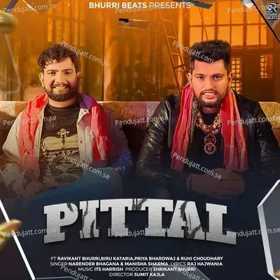 Pittal - Ravikant Bhurri album cover 