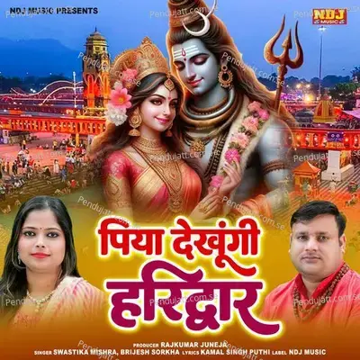 Piya Dekhungi Haridwar - Brijesh Sorkha album cover 