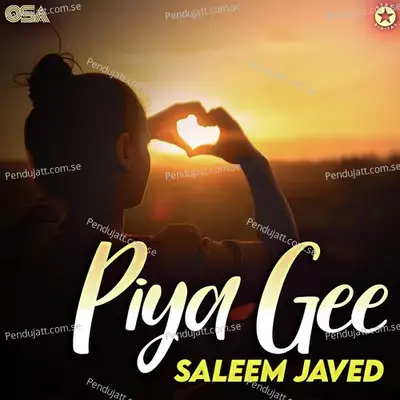 Nach Nach - Saleem Javed album cover 