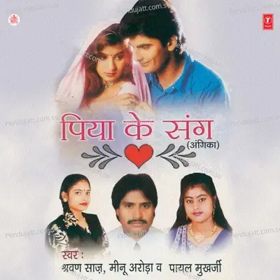 Dilwali Se Mile Jebe - Shravan Saaj album cover 