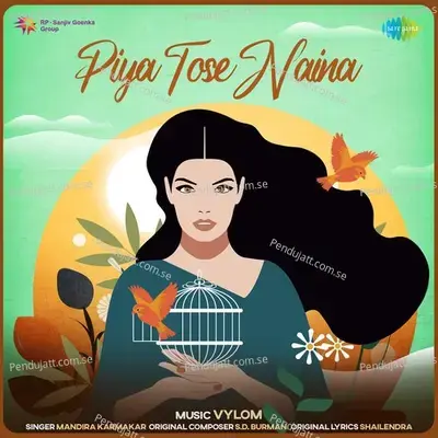 Piya Tose Naina - Vylom Mix - Vylom album cover 