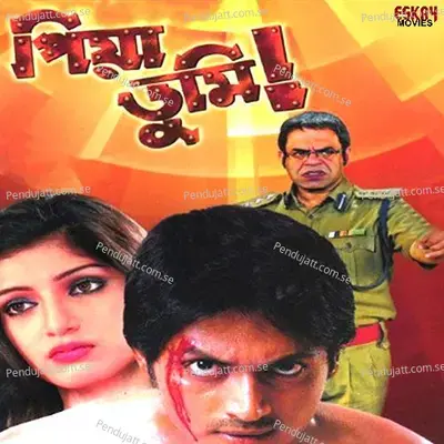 Bajbe Du Din Pore - Babul album cover 