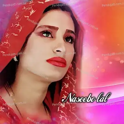 Piyaas Akhiyan Di Aa Ke Bhuja - Naseebo Lal album cover 