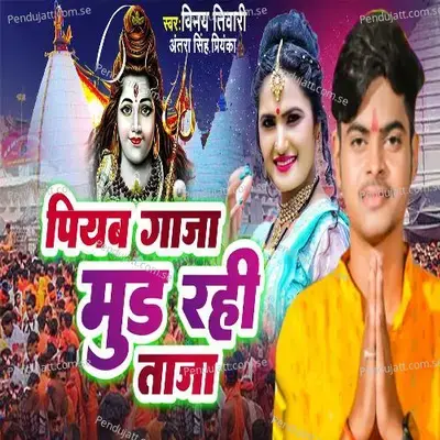 Piyab Gaja Mood Rahi Taja - Vinay Tiwari album cover 