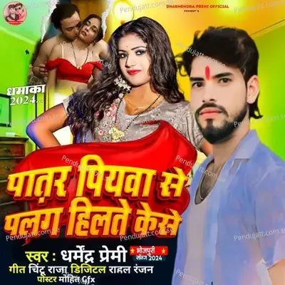 Piyar Se Palag Hilte Kashe - Dharmendra Premi album cover 